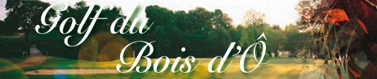 Logo Bois d'&Ocirc;